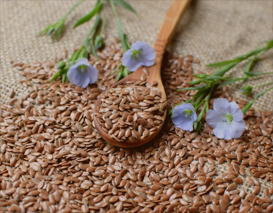 flax-seeds