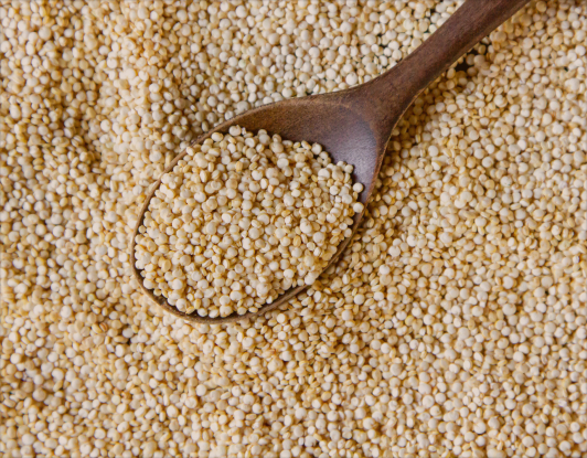quinoa